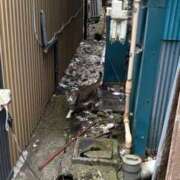 ヒメ日記 2025/08/11 21:05 投稿 まお ミラー