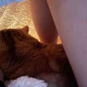 ヒメ日記 2024/12/28 21:45 投稿 えま 逆バニーメンズエステ とろとろオイルSPA