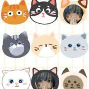 ヒメ日記 2025/03/16 15:05 投稿 えま 逆バニーメンズエステ とろとろオイルSPA