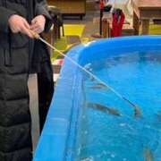 ヒメ日記 2025/03/18 13:15 投稿 えま 逆バニーメンズエステ とろとろオイルSPA