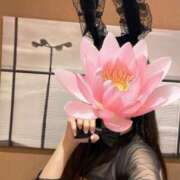 ヒメ日記 2025/05/31 21:12 投稿 えま 逆バニーメンズエステ とろとろオイルSPA