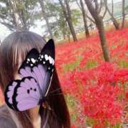 ヒメ日記 2025/10/05 09:50 投稿 えま 逆バニーメンズエステ とろとろオイルSPA