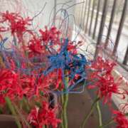 ヒメ日記 2025/10/22 12:50 投稿 えま 逆バニーメンズエステ とろとろオイルSPA