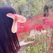 ヒメ日記 2025/10/24 18:20 投稿 えま 逆バニーメンズエステ とろとろオイルSPA