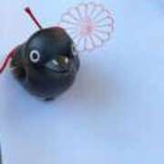 ヒメ日記 2026/01/07 19:50 投稿 えま 逆バニーメンズエステ とろとろオイルSPA