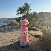 ヒメ日記 2026/01/16 12:50 投稿 えま 逆バニーメンズエステ とろとろオイルSPA