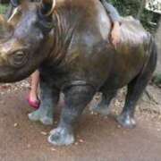 ヒメ日記 2026/08/16 19:50 投稿 えま 逆バニーメンズエステ とろとろオイルSPA