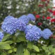 くう くう（奥様さくら梅田店） 奥様さくら梅田店