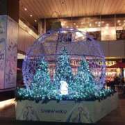 ヒメ日記 2024/12/21 23:11 投稿 千束【チサト】 輝女