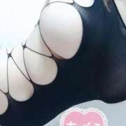 ヒメ日記 2025/04/12 19:41 投稿 千束【チサト】 輝女