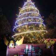 ヒメ日記 2025/12/24 19:11 投稿 千束【チサト】 輝女