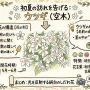 ヒメ日記 2026/04/08 19:00 投稿 つむぎ(つむぎ) ロケットワイフ