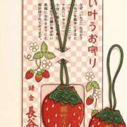 ヒメ日記 2026/04/11 10:01 投稿 つむぎ(つむぎ) ロケットワイフ