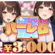 ヒメ日記 2025/02/20 16:01 投稿 いちか ポッキリ学園 ～モテモテハーレムごっこ～