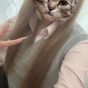 ヒメ日記 2025/10/30 16:21 投稿 いちか ポッキリ学園 ～モテモテハーレムごっこ～