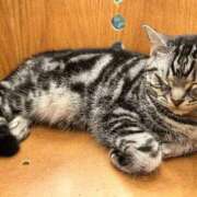 ヒメ日記 2025/12/16 15:22 投稿 いちか ポッキリ学園 ～モテモテハーレムごっこ～