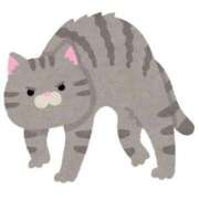 ヒメ日記 2025/12/25 17:34 投稿 いちか ポッキリ学園 ～モテモテハーレムごっこ～