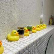 ヒメ日記 2026/01/06 16:01 投稿 いちか ポッキリ学園 ～モテモテハーレムごっこ～