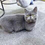 ヒメ日記 2026/01/07 22:51 投稿 いちか ポッキリ学園 ～モテモテハーレムごっこ～