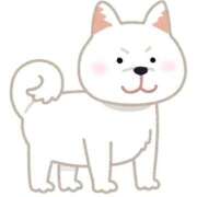 ヒメ日記 2026/02/04 23:41 投稿 いちか ポッキリ学園 ～モテモテハーレムごっこ～