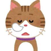 ヒメ日記 2026/02/13 23:41 投稿 いちか ポッキリ学園 ～モテモテハーレムごっこ～