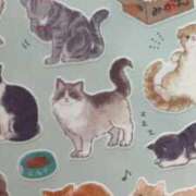 ヒメ日記 2026/02/16 10:41 投稿 いちか ポッキリ学園 ～モテモテハーレムごっこ～