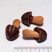 ヒメ日記 2025/04/08 23:18 投稿 ちゃちゃさん いけない奥さん 梅田店