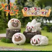 ヒメ日記 2026/02/10 13:08 投稿 ちゃちゃさん いけない奥さん 梅田店