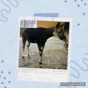 ヒメ日記 2026/03/16 07:39 投稿 にな 脱がされたい人妻 町田・相模原店