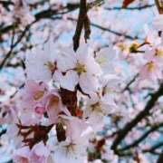 ヒメ日記 2025/05/01 09:49 投稿 いちな ソープランド メイド館 ラ・メイド