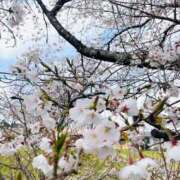 ヒメ日記 2025/04/06 14:06 投稿 ゆき 熟女の風俗アウトレット大垣安八羽島店