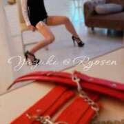 ヒメ日記 2025/11/14 23:01 投稿 ゆづき 涼泉（りょうせん）