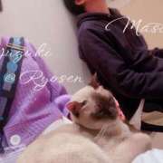 ヒメ日記 2026/02/09 19:00 投稿 ゆづき 涼泉（りょうせん）