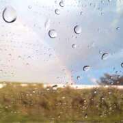 ヒメ日記 2026/02/20 15:00 投稿 ゆづき 涼泉（りょうせん）