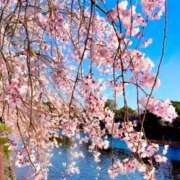 ヒメ日記 2026/03/31 15:00 投稿 ゆづき 涼泉（りょうせん）