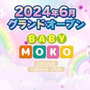 ヒメ日記 2024/06/26 16:41 投稿 らむ ベイビーモコ