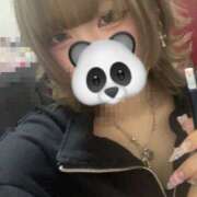 ヒメ日記 2025/02/22 17:58 投稿 らむ ベイビーモコ