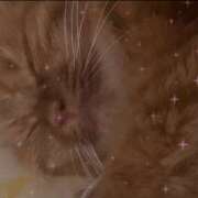 ヒメ日記 2025/03/08 19:54 投稿 らむ ベイビーモコ