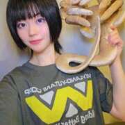 ヒメ日記 2025/09/10 07:07 投稿 ギンガ 川崎ソープ　クリスタル京都南町