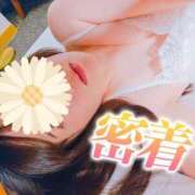 ヒメ日記 2025/03/13 18:16 投稿 藤森のぞみ 川崎小町（川崎ハレ系）