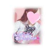 ヒメ日記 2025/02/11 15:02 投稿 ひなた 激安ドットコム