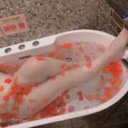 ヒメ日記 2025/06/04 16:22 投稿 みやの 香川サンキュー