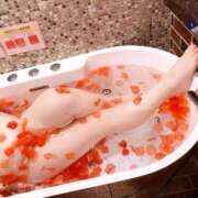 ヒメ日記 2025/09/30 16:04 投稿 みやの 香川サンキュー