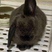 ヒメ日記 2025/05/12 16:56 投稿 くれあ オフィスアロマ