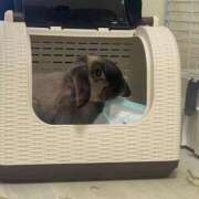 ヒメ日記 2026/01/12 19:48 投稿 くれあ オフィスアロマ