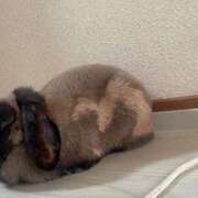 ヒメ日記 2026/03/20 10:57 投稿 くれあ オフィスアロマ