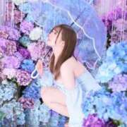 ヒメ日記 2025/06/01 08:01 投稿 ちむ ティアラ