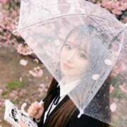 ヒメ日記 2026/03/24 18:13 投稿 のん ティアラ