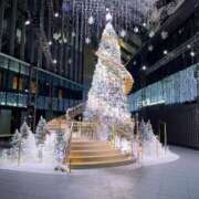 ヒメ日記 2025/11/23 20:01 投稿 たずね ティアラ