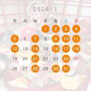 たずね 1月の出勤予定です🐹🩵 ティアラ